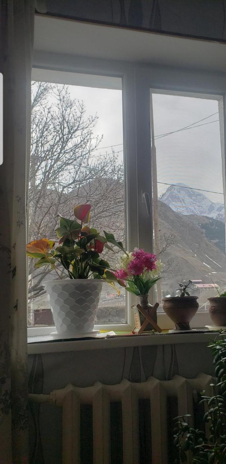 Guest House Dodo Kazbegi Δωμάτιο φωτογραφία