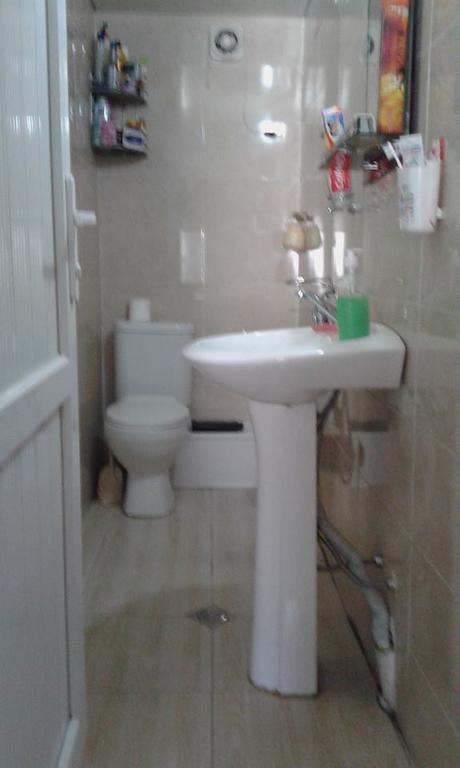 Guest House Dodo Kazbegi Εξωτερικό φωτογραφία